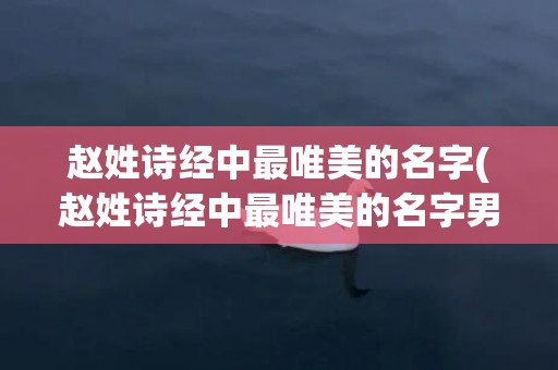 赵姓诗经中最唯美的名字(赵姓诗经中最唯美的名字男)