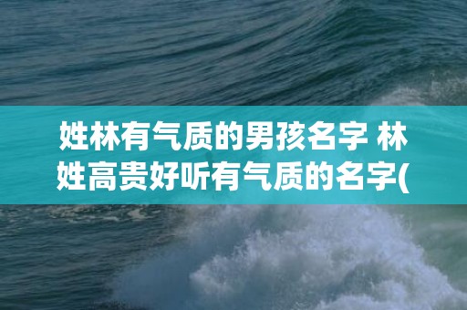 姓林有气质的男孩名字 林姓高贵好听有气质的名字(姓文的男孩名字有气质)