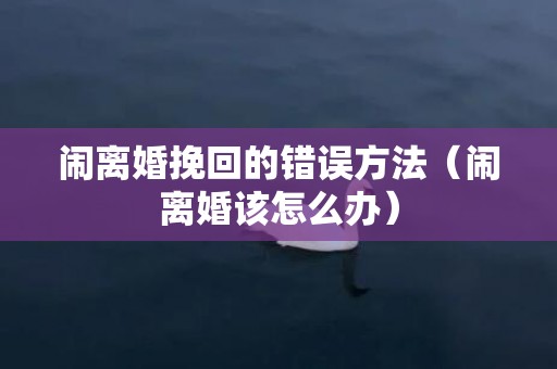 闹离婚挽回的错误方法（闹离婚该怎么办）