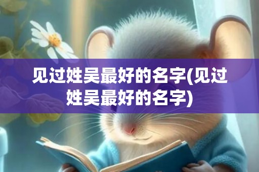 见过姓吴最好的名字(见过姓吴最好的名字)