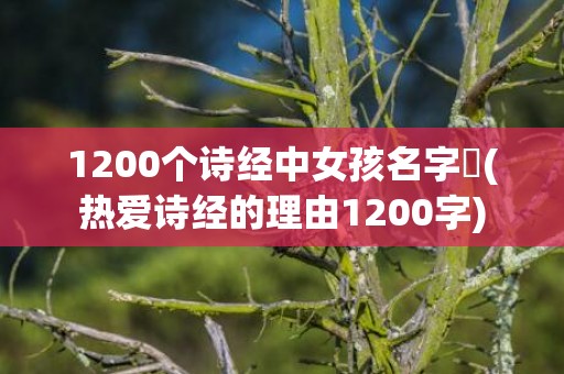 1200个诗经中女孩名字​(热爱诗经的理由1200字)