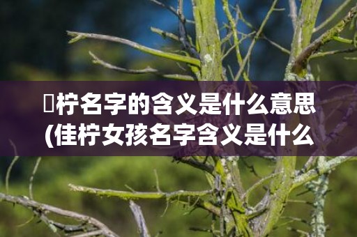 玥柠名字的含义是什么意思(佳柠女孩名字含义是什么)