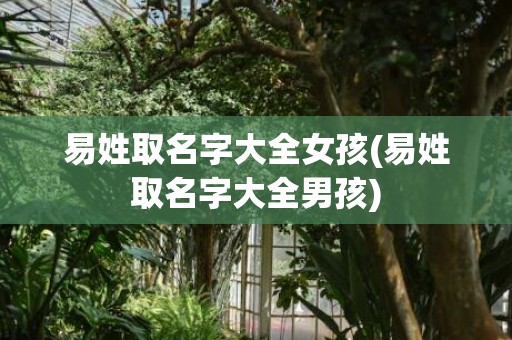 易姓取名字大全女孩(易姓取名字大全男孩)