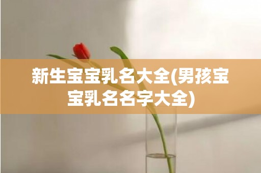 新生宝宝乳名大全(男孩宝宝乳名名字大全)