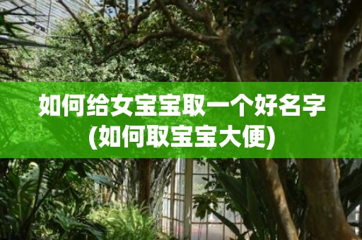 如何给女宝宝取一个好名字(如何取宝宝大便)