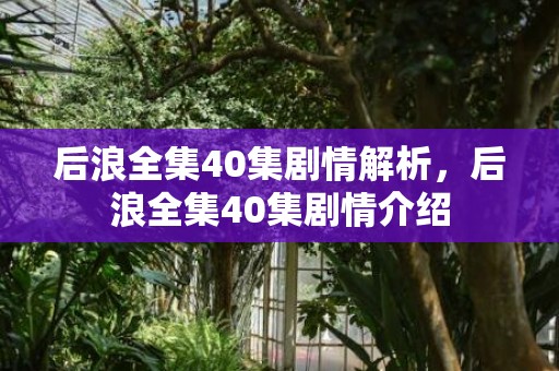 后浪全集40集剧情解析，后浪全集40集剧情介绍
