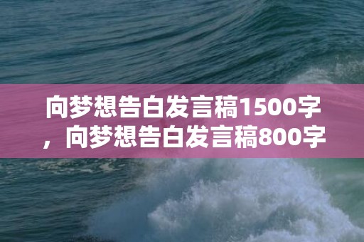 向梦想告白发言稿1500字，向梦想告白发言稿800字