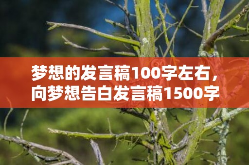 梦想的发言稿100字左右，向梦想告白发言稿1500字