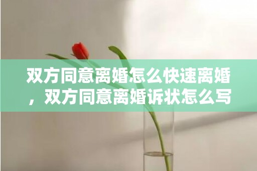 双方同意离婚怎么快速离婚，双方同意离婚诉状怎么写
