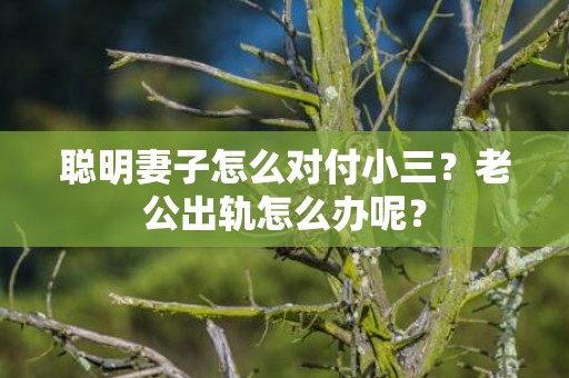 聪明妻子怎么对付小三？老公出轨怎么办呢？