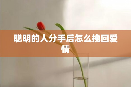 聪明的人分手后怎么挽回爱情