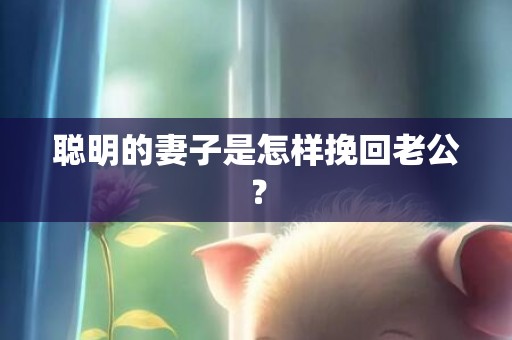 聪明的妻子是怎样挽回老公？