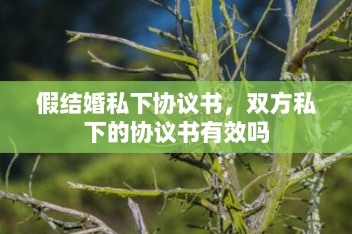 假结婚私下协议书，双方私下的协议书有效吗