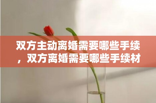 双方主动离婚需要哪些手续，双方离婚需要哪些手续材料