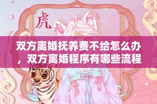 双方离婚抚养费不给怎么办，双方离婚程序有哪些流程呢