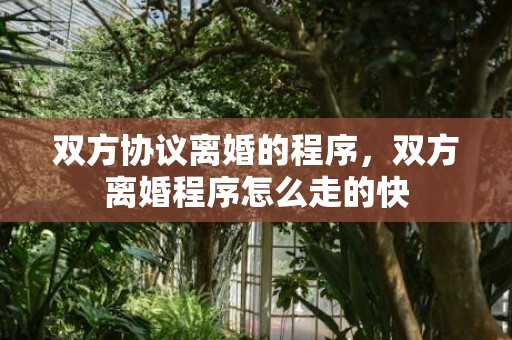 双方协议离婚的程序，双方离婚程序怎么走的快