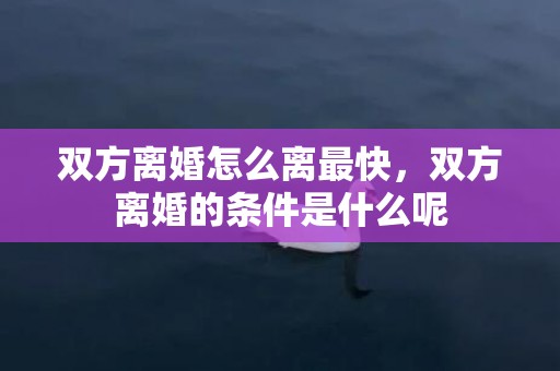 双方离婚怎么离最快，双方离婚的条件是什么呢