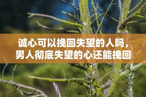 诚心可以挽回失望的人吗，男人彻底失望的心还能挽回么