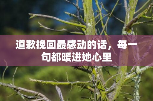 道歉挽回最感动的话，每一句都暖进她心里