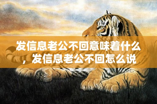 发信息老公不回意味着什么，发信息老公不回怎么说