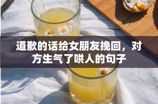 道歉的话给女朋友挽回，对方生气了哄人的句子