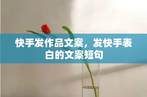 快手发作品文案，发快手表白的文案短句