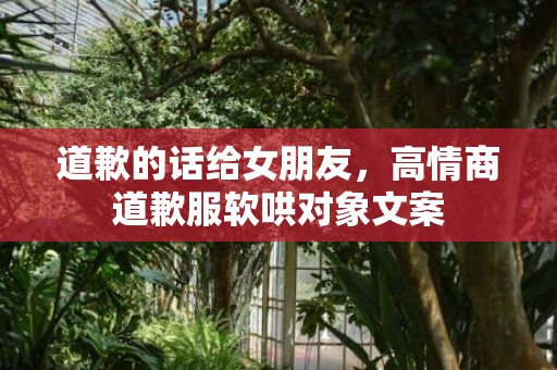 道歉的话给女朋友，高情商道歉服软哄对象文案