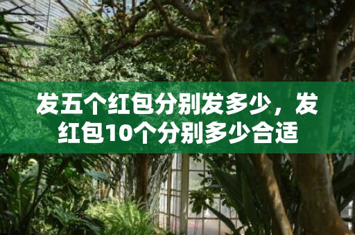 发五个红包分别发多少，发红包10个分别多少合适