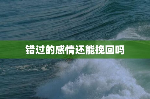 错过的感情还能挽回吗