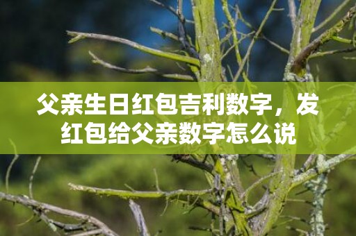 父亲生日红包吉利数字，发红包给父亲数字怎么说