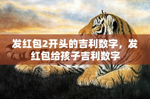 发红包2开头的吉利数字，发红包给孩子吉利数字