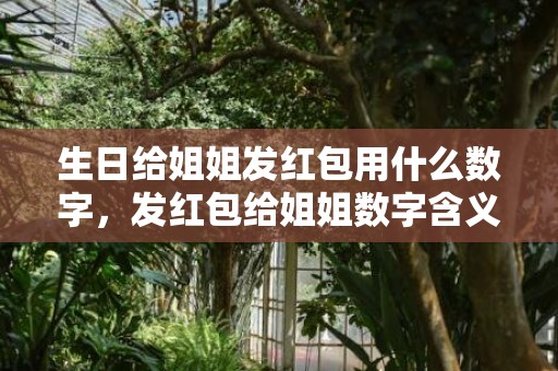 生日给姐姐发红包用什么数字，发红包给姐姐数字含义