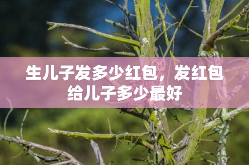 生儿子发多少红包，发红包给儿子多少最好