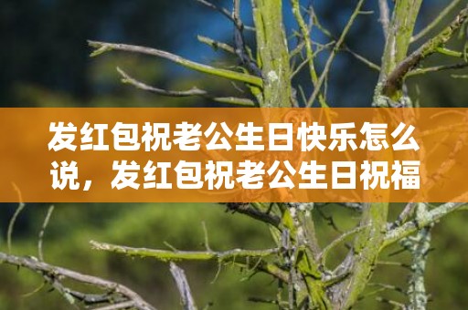 发红包祝老公生日快乐怎么说，发红包祝老公生日祝福语