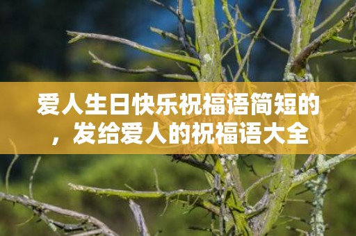 爱人生日快乐祝福语简短的，发给爱人的祝福语大全