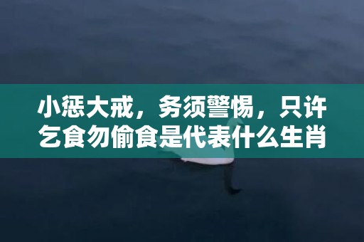 小惩大戒，务须警惕，只许乞食勿偷食是代表什么生肖，词语解答落实