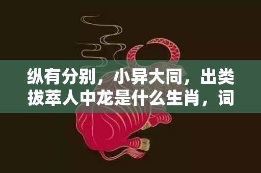 纵有分别，小异大同，出类拔萃人中龙是什么生肖，词语解释落实