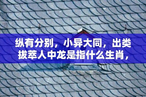 纵有分别，小异大同，出类拔萃人中龙是指什么生肖，精准快答落实