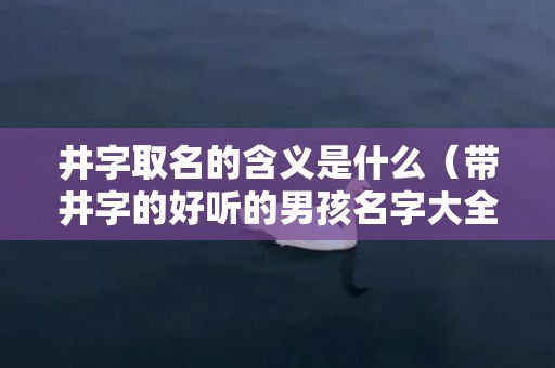 井字取名的含义是什么（带井字的好听的男孩名字大全）