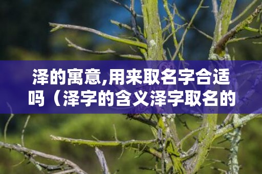 泽的寓意,用来取名字合适吗（泽字的含义泽字取名的寓意）