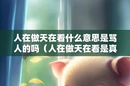 人在做天在看什么意思是骂人的吗（人在做天在看是真是假人在做天在看天是什么）