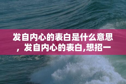 发自内心的表白是什么意思，发自内心的表白,想招一个