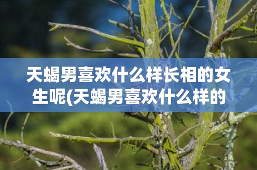 天蝎男喜欢什么样长相的女生呢(天蝎男喜欢什么样的恋爱模式)
