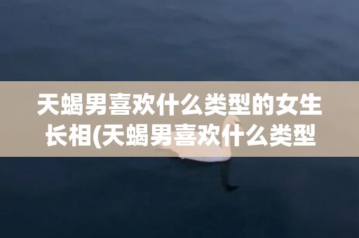 天蝎男喜欢什么类型的女生长相(天蝎男喜欢什么类型)