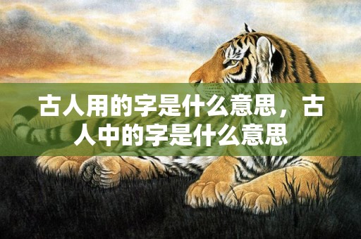 古人用的字是什么意思，古人中的字是什么意思