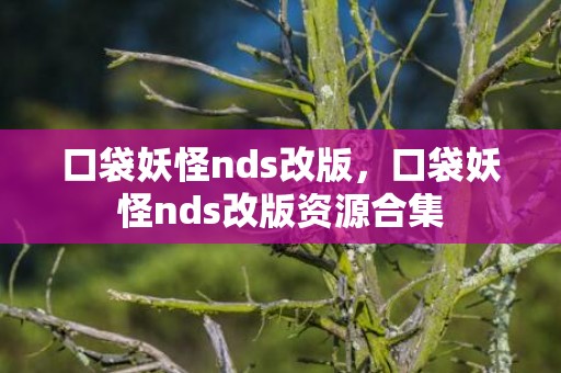 口袋妖怪nds改版，口袋妖怪nds改版资源合集