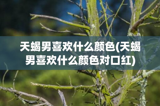 天蝎男喜欢什么颜色(天蝎男喜欢什么颜色对口红)