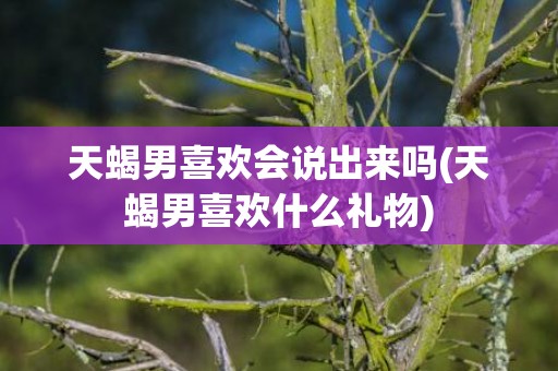 天蝎男喜欢会说出来吗(天蝎男喜欢什么礼物)