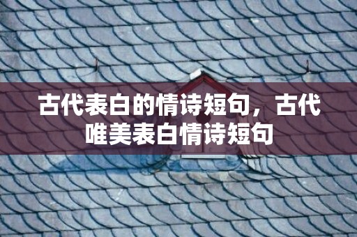 古代表白的情诗短句，古代唯美表白情诗短句
