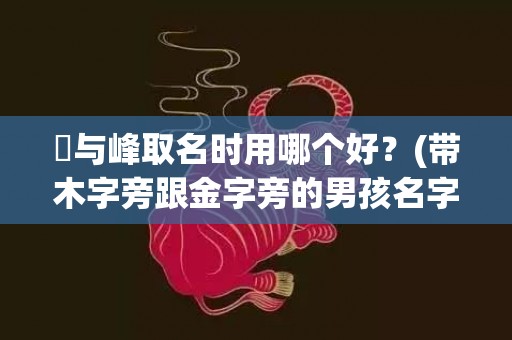 峯与峰取名时用哪个好？(带木字旁跟金字旁的男孩名字？)